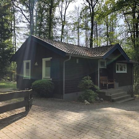 Waldhaus Mohnesee Bagian luar foto